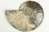 4.45" Cut & Polished Ammonite Fossil (Half) - Madagascar - #200084-1